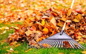 East Bay HVAC landscaping