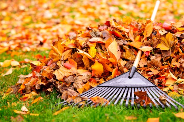 East Bay HVAC landscaping